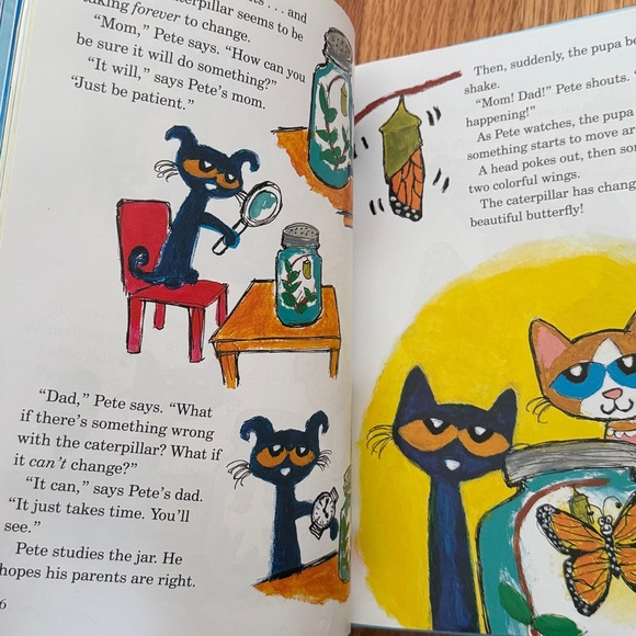 Pete the Cat Children's Book Set - Picture 5 of 16
